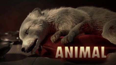 animal trailer 2014|animal 2014 full movie.